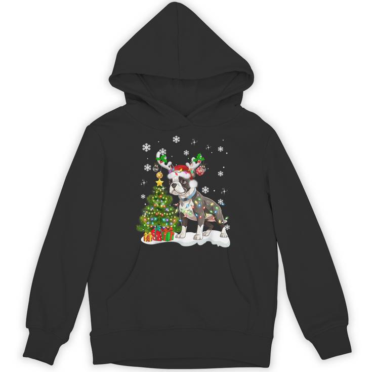 Boston Terrier Christmas Tree Lights Santa Hat Unisex Hoodie