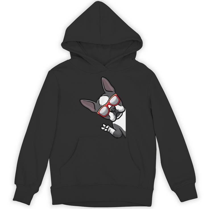 Boston Terrier Dog From Side Boston Bull Unisex Hoodie