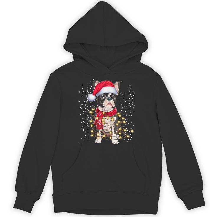 Boston Terrier Dog Ugly Christmas Dog Xmas For Men Women Kids Unisex Hoodie