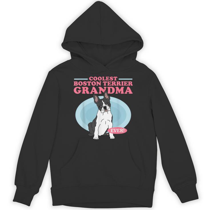 Boston Terrier Grandma Bostie Dog Owner Boston Terrier Men Women Unisex Hoodie