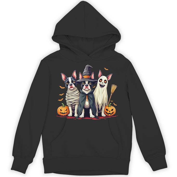 Boston Terrier Halloween Costume Mummy Witch Ghost Dog Lover For Men Women Kids Unisex Hoodie