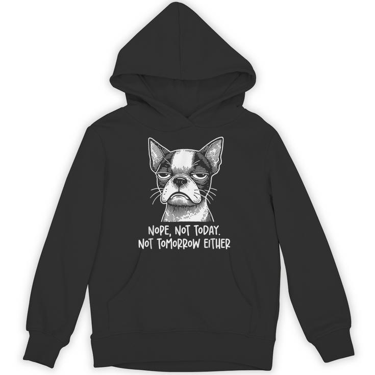 Boston Terrier Nope Not Today Not Tomorrow Either Sarcastic Unisex Hoodie