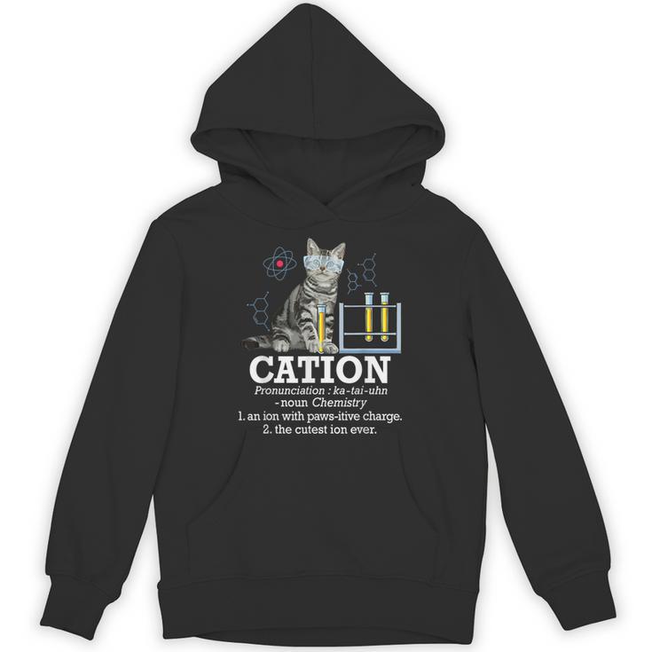 Cation Chemistry Humor Science Teacher Cat Pun Unisex Hoodie