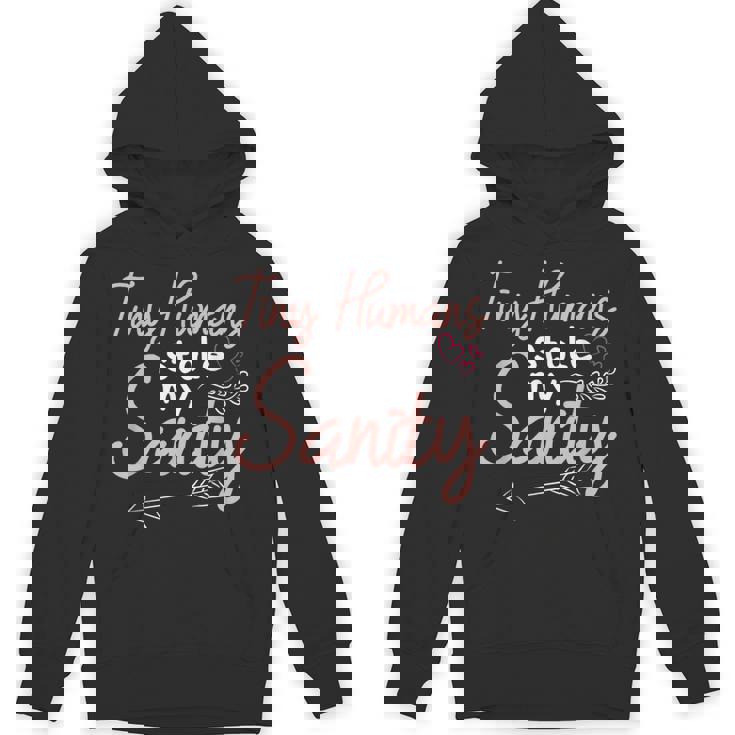 Childcare Provider Daycare Teacher Stole My Sanity Unisex Hoodie