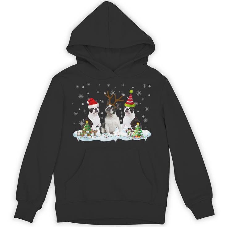 Christmas Boston Terrier Santa Dog Lover Unisex Hoodie