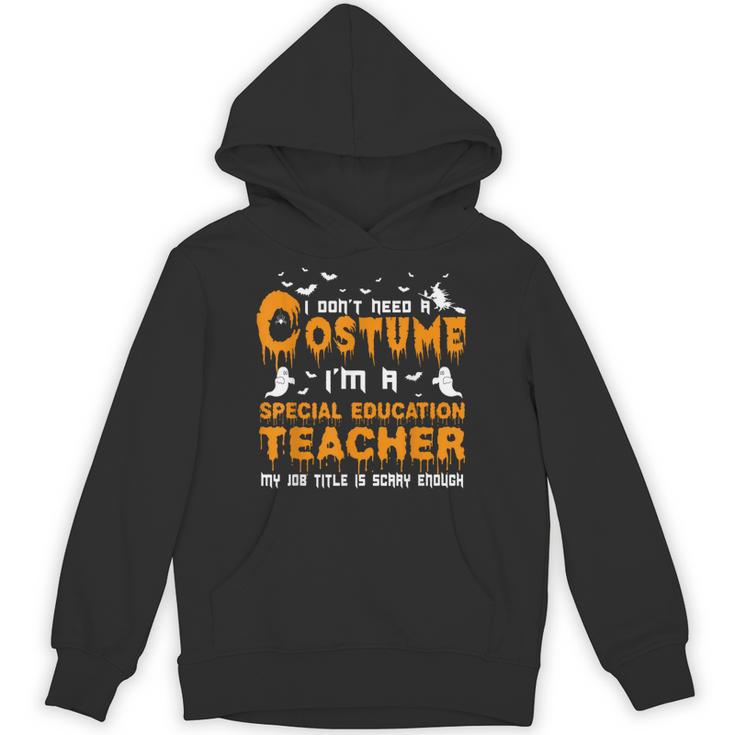 I Don't Need A Costume Special Education Teacher Halloween Unisex Hoodie