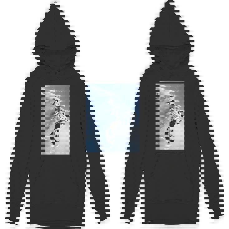 Lion Monkey Meme Ragebait Meme Brain Red Gen Alpha Meme Hoodie