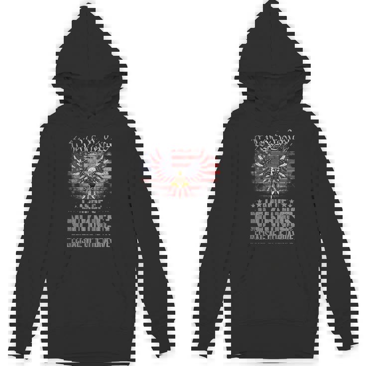 No Kings America Vintage Flag No Kings Day Hoodie