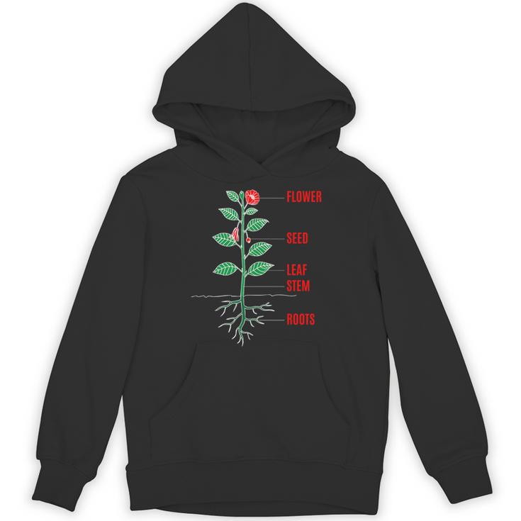 Parts Of a Plant Science For Teachers Kids And Students Unisex Hoodie