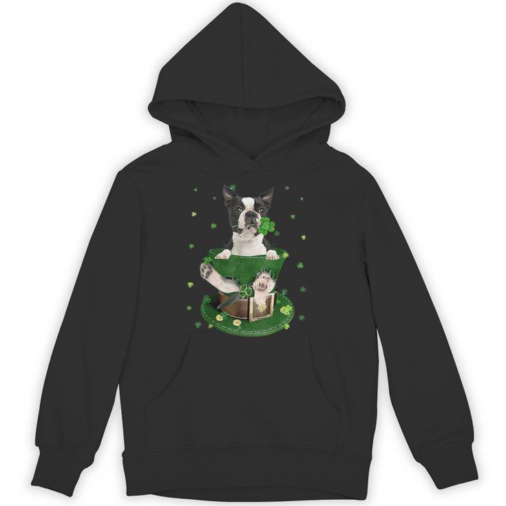 St Patrick's Day Leprechaun Boston Terrier Dog Shamrock For Men Women Kids Unisex Hoodie