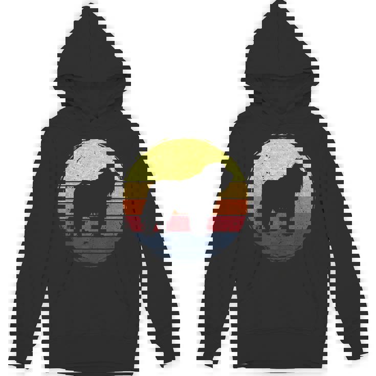 オールドイングリッシュシープドッグドッグレトロデザイン パーカー