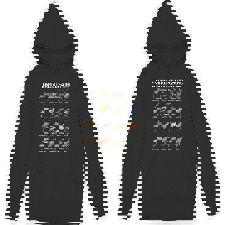 カンブリア紀の生き物チャート–先史時代の海洋生物アート パーカー