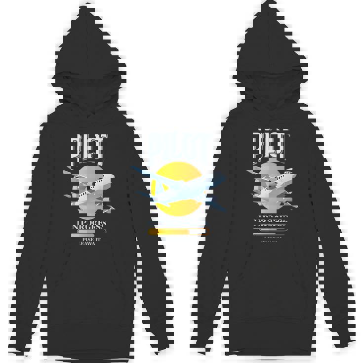 パイロット・イン・プログレス飛行機航空学校飛行機 パーカー