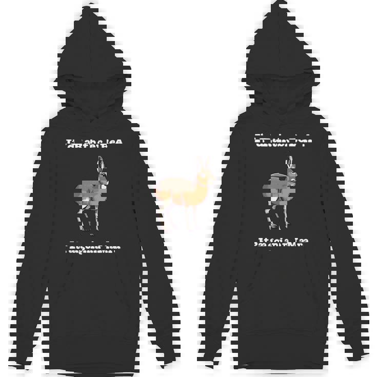 パタゴニア・マラ 長袖tシャツ パーカー