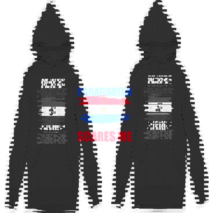 パラグアイ国旗 パラグアイ遺産 パーカー