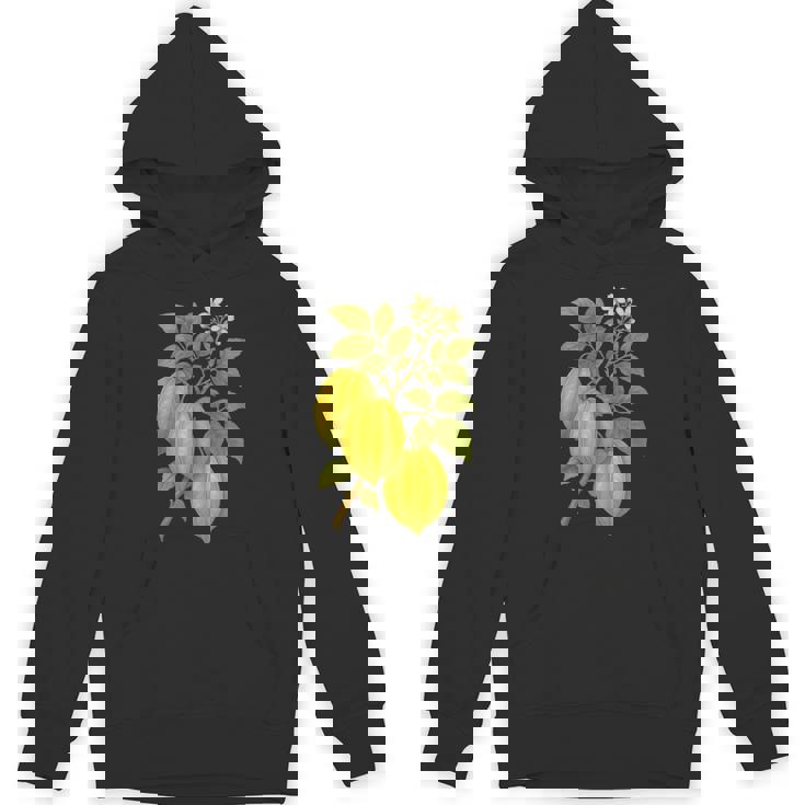 ビンテージ ボタニカル スターフルーツ 自然 アートプリント パーカー