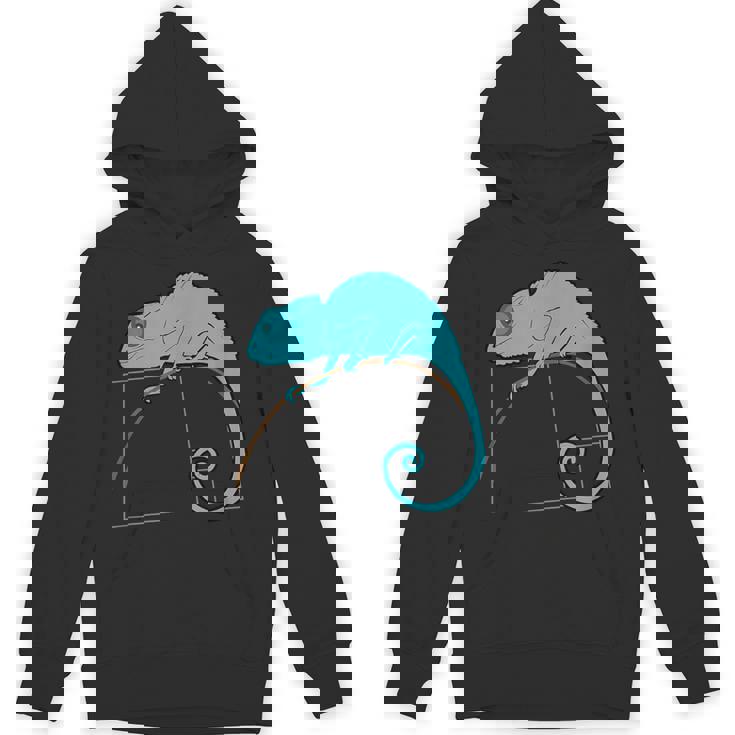 フィボナッチカメレオン黄金比 パーカー