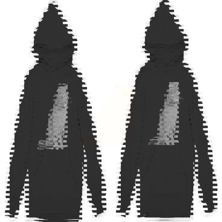 ブリティッシュショートヘアの猫 長袖tシャツ パーカー