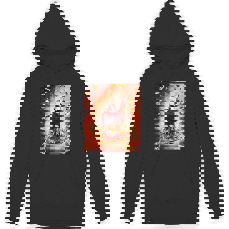 宇宙 猫 ライディング ラマ ユニコーン ピザ パーカー