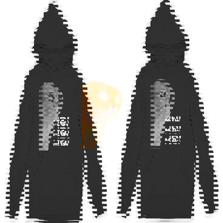 愚かなおしゃべり猫のミームニャーニャーニャー。 パーカー