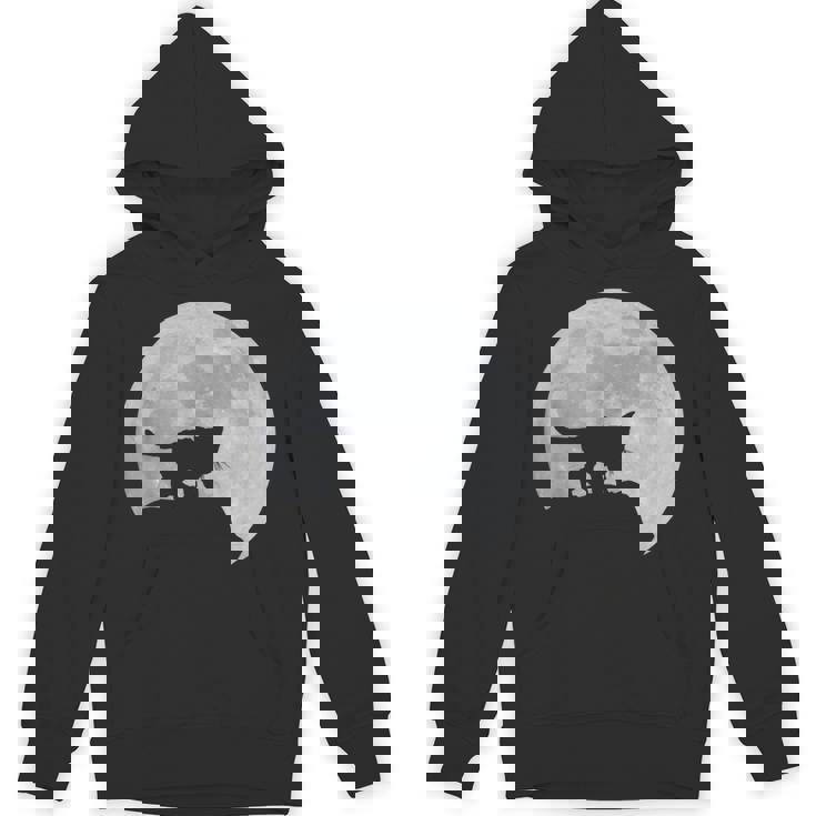 月と猫のシルエット ソマリ猫 パーカー