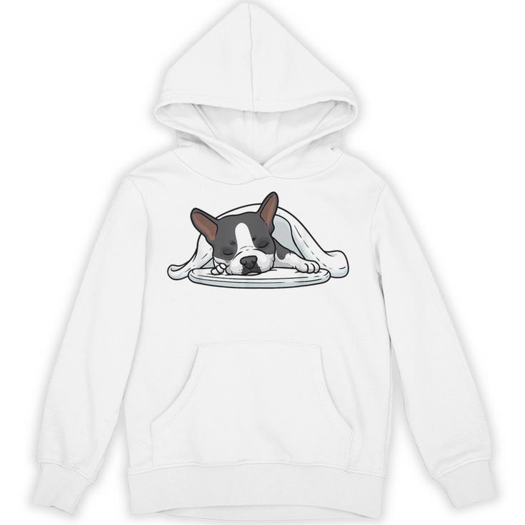 Boston Terrier Dog Official Sleeping Men Women Girls Kids Unisex Hoodie