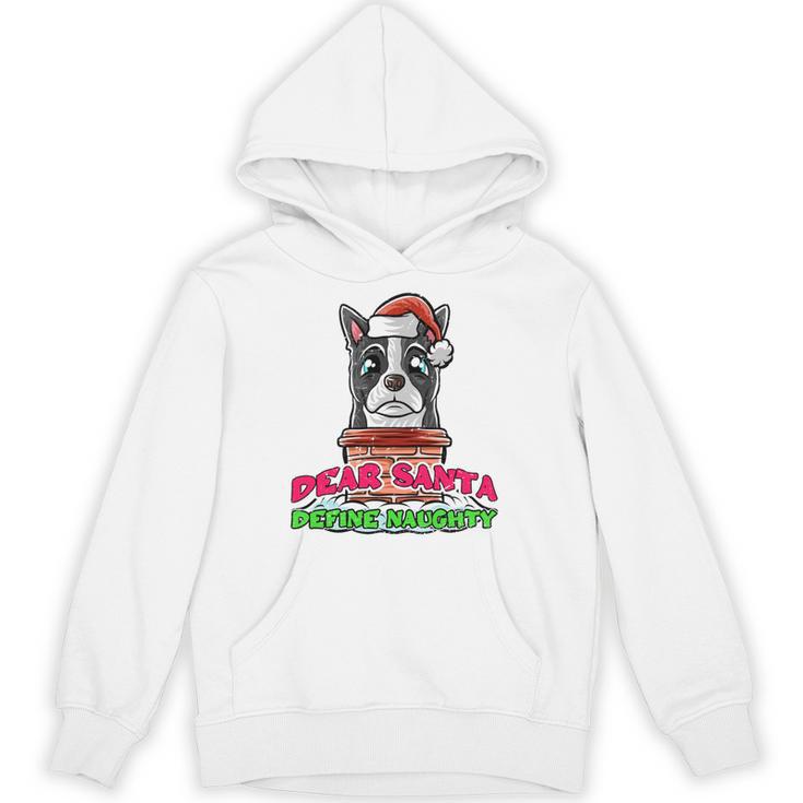 Boston Terrier Santa Claus Christmas Dog Unisex Hoodie