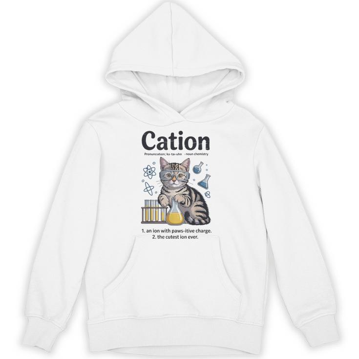 Cation Shirt Cat Science Chemistry Teacher Chemist Pun Unisex Hoodie