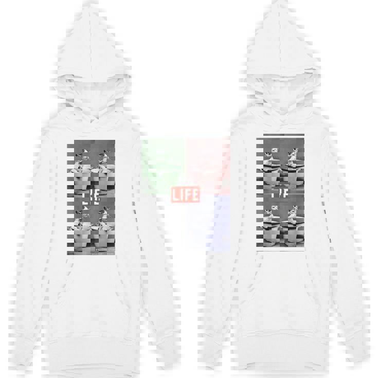 Life Picture Collection 猫（1） パーカー