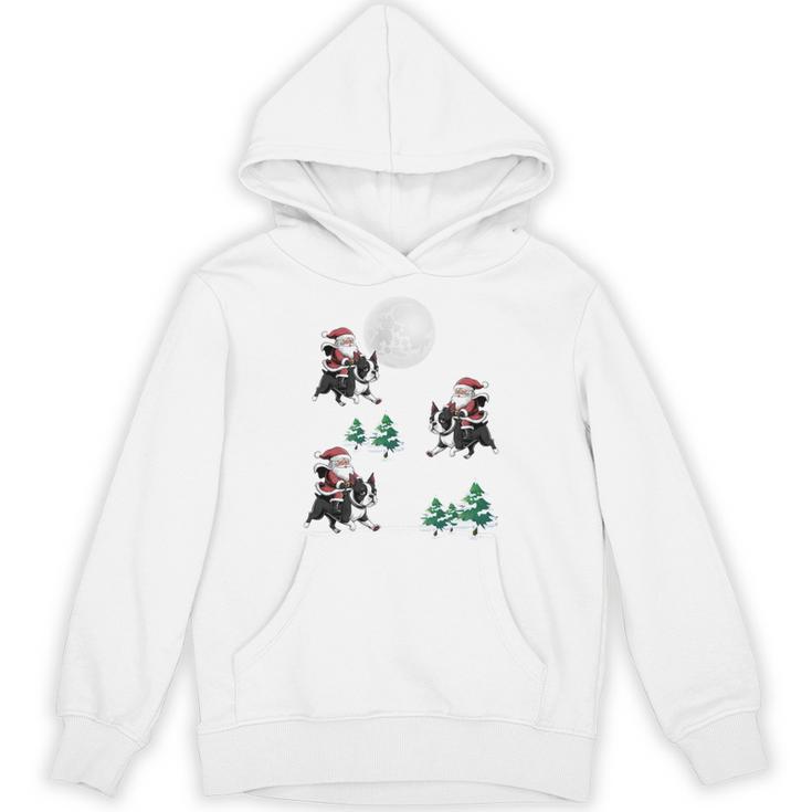 Xmas Tree Santa Riding Boston Terrier Christmas Unisex Hoodie