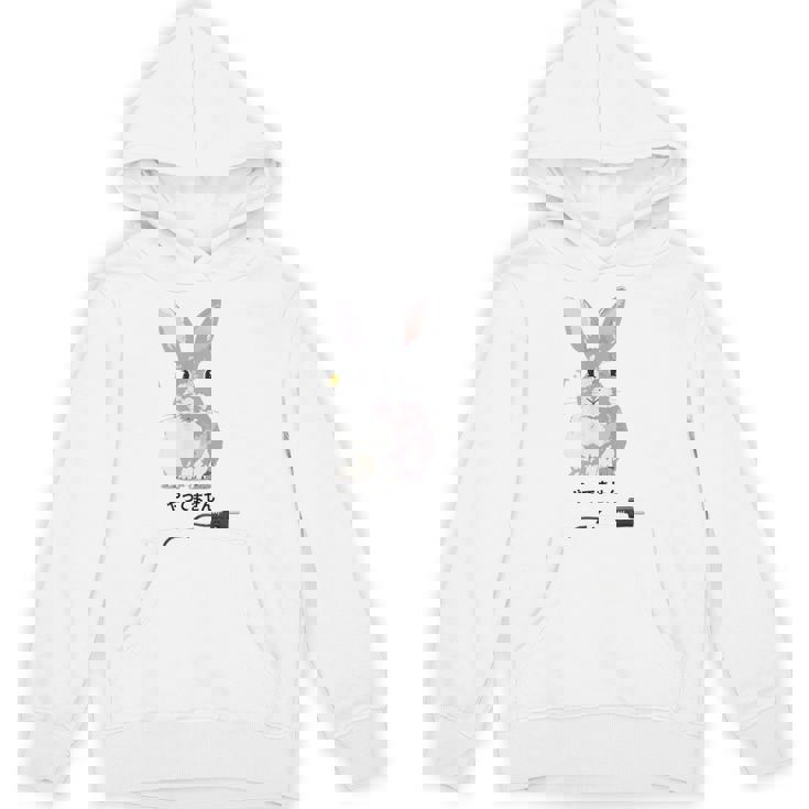 やってませんうさぎ 「I Didn't Do It」 いたずらウサギ 電源コード 面白いデザイン 黒文字 パーカー