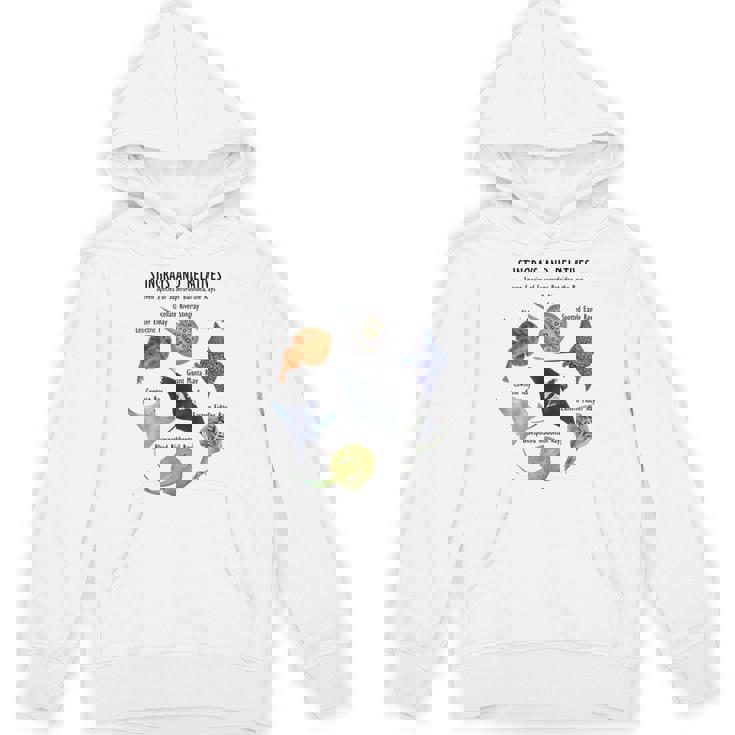 アカエイ種 パーカー