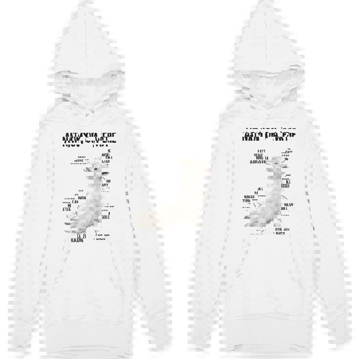 ウエスト・ハイランド・ホワイト・テリア犬の子犬ウェスティの解剖学 パーカー