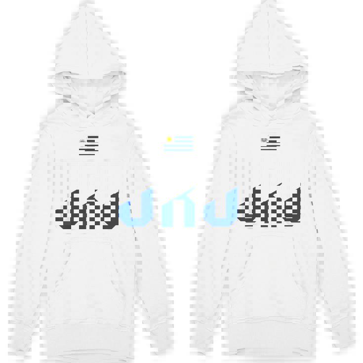 ウルグアイプライド Uru ウルグアイ国旗 ヴィンテージ パーカー