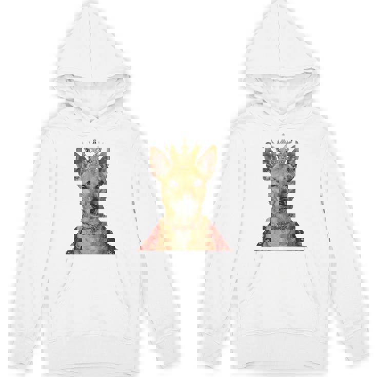 カロライナ・ドッグ パーカー