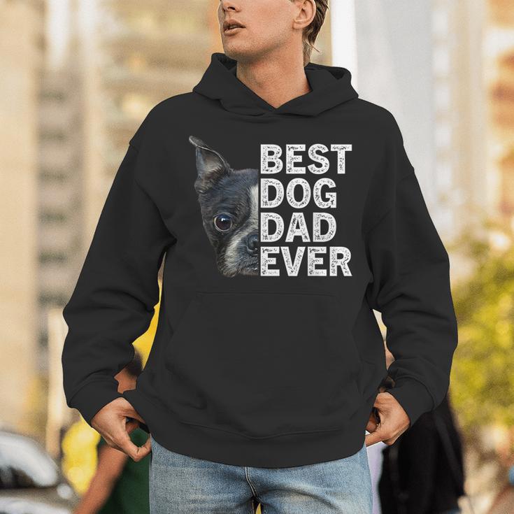 Best Dog Dad Ever Boston Terrier Dog Lover For Dad Men Women Girls Kids Unisex Hoodie, Boston Terrier Dad Hoodies, funny gift