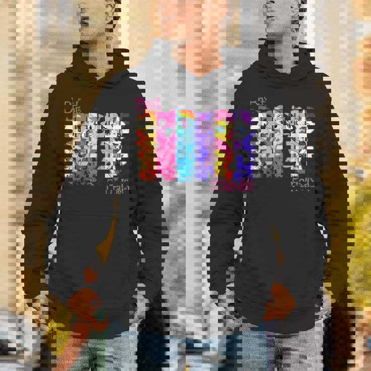 Best Friend レトロレインボーダッシュフラッターシャイレアリティ パーカー