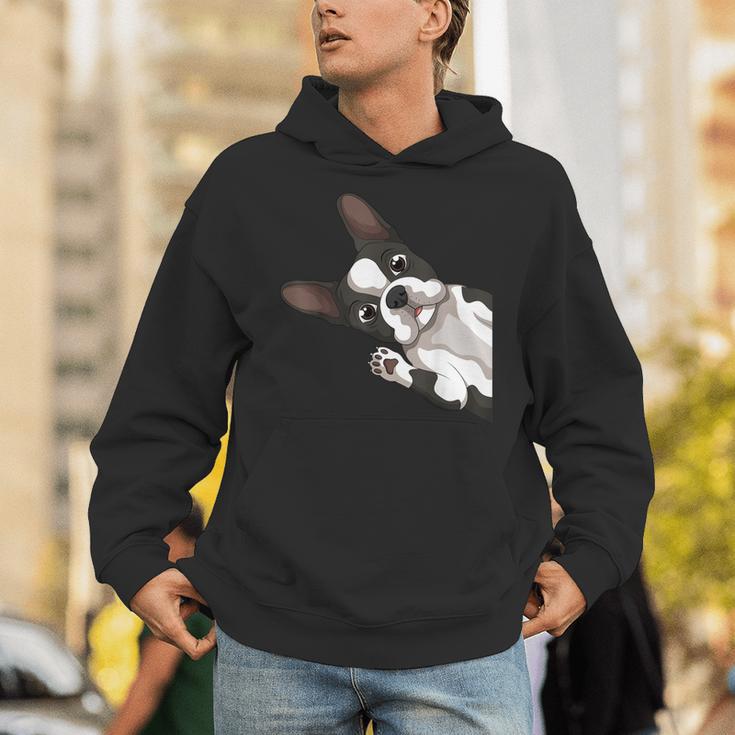 Boston Terrier Bostie Dog Kids Boys Girls Unisex Hoodie, funny gift