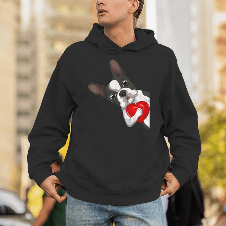 Boston Terrier Bostie Dog Kids Women Girls Unisex Hoodie, funny gift