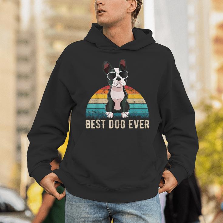 Boston Terrier Boston-Bulldog For Men Women Girls Kids Unisex Hoodie, funny gift