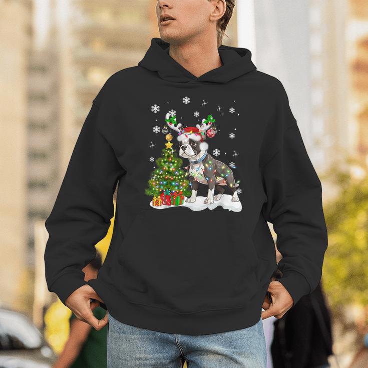 Boston Terrier Christmas Tree Lights Santa Hat Unisex Hoodie, Boston Terrier Christmas Hoodies, funny gift