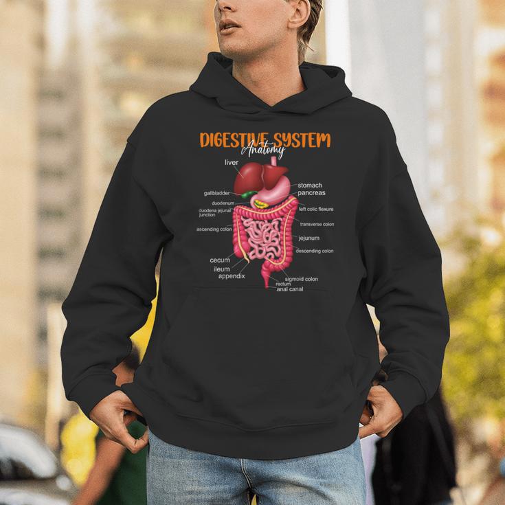 Digestive System Anatomy Anatomical Biology Teacher Unisex Hoodie, funny gift Digestive System Anatomy Anatomical Biology Teacher Unisex Hoodie, funny gift