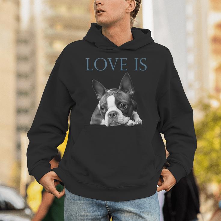 Love Is Boston Terrier Bostie Unisex Hoodie, funny gift