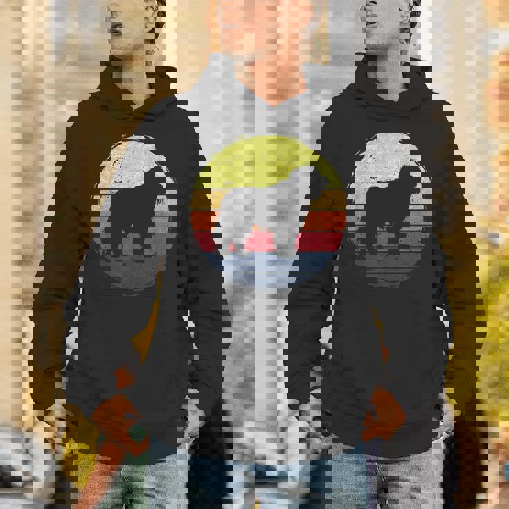 オールドイングリッシュシープドッグドッグレトロデザイン パーカー