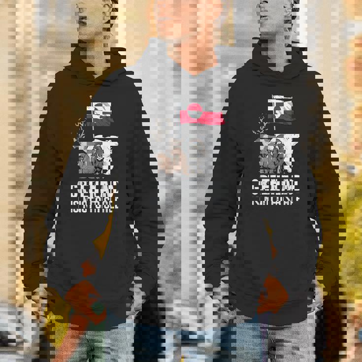 グリーンランド 非売品 グリーンランド 国旗 動物 グリーンランダー パーカー