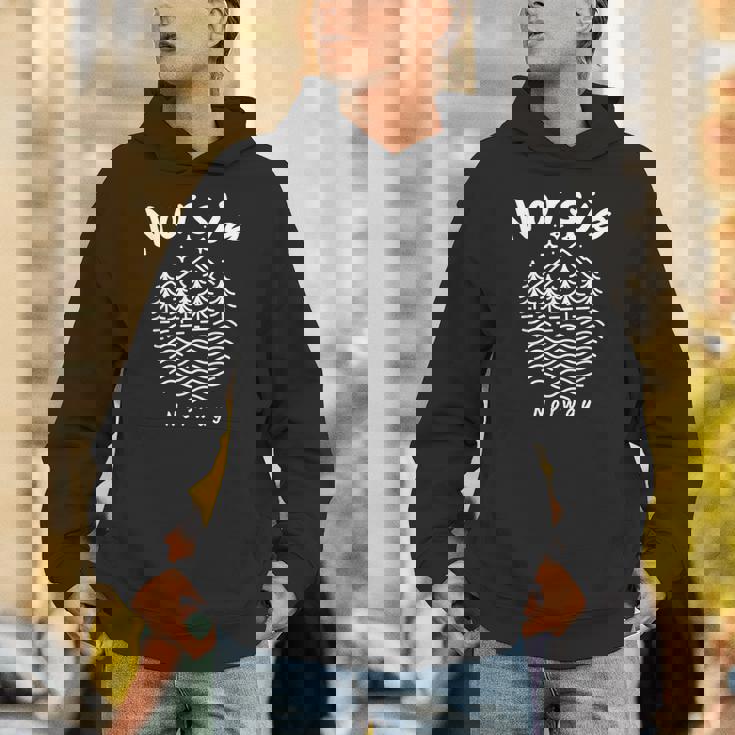 ノルウェー 湖 ノルウェー パーカー