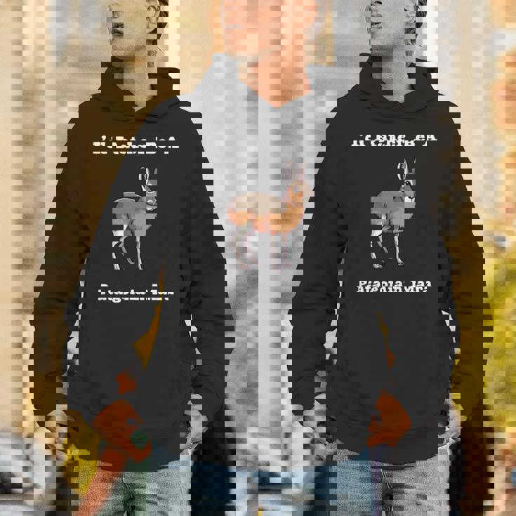 パタゴニア・マラ 長袖tシャツ パーカー