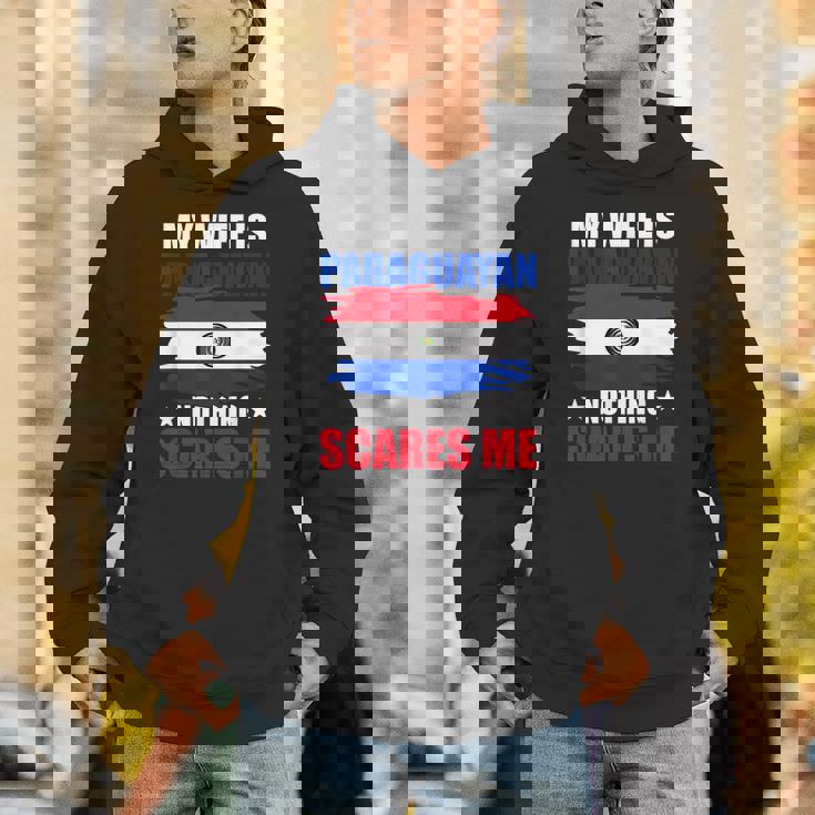 パラグアイ国旗 パラグアイ遺産 パーカー