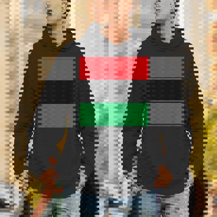 パンアフリカ国旗tシャツ パーカー