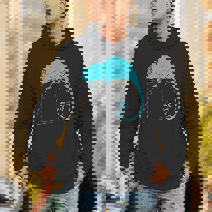 フィボナッチカメレオン黄金比 パーカー